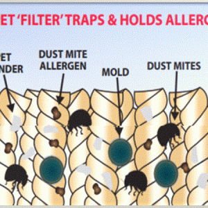 Facts To Understand How Dirty Carpets Spread Allergies